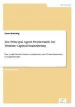 Principal Agent-Problematik bei Venture Capital-Finanzierung