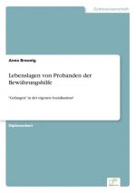 Lebenslagen von Probanden der Bewahrungshilfe