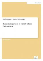 Risikomanagement in Supply Chain Netzwerken