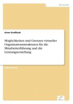 Moeglichkeiten und Grenzen virtueller Organisationsstrukturen fur die Mitarbeiterfuhrung und die Leistungserstellung