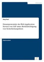 Einsatzpotentiale des Web Application Servers von SAP unter Berucksichtigung von Sicherheitsaspekten