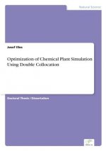 Optimization of Chemical Plant Simulation Using Double Collocation