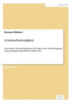 Scheinselbstandigkeit
