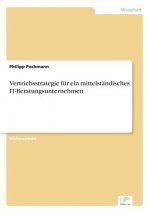 Vertriebsstrategie fur ein mittelstandisches IT-Beratungsunternehmen