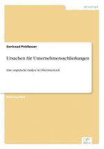 Ursachen fur Unternehmensschliessungen