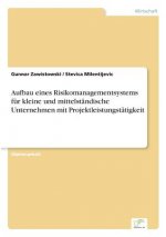 Aufbau eines Risikomanagementsystems fur kleine und mittelstandische Unternehmen mit Projektleistungstatigkeit