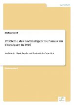 Probleme des nachhaltigen Tourismus am Titicacasee in Peru