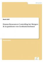 Human Ressources Controlling bei Mergers & Acquisitions von Grossunternehmen