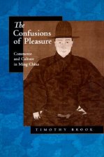 Confusions of Pleasure