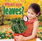 What Are Leaves