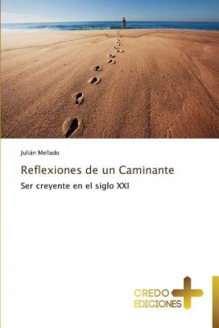 Reflexiones de Un Caminante