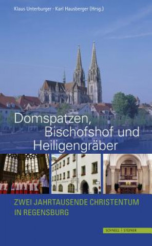 Domspatzen, Bischofshof und Heiligengräber