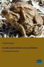 Das Leben unserer heimischen Lurche und Kriechtiere im Kreislaufe eines Jahres