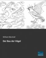 Der Bau der Vögel