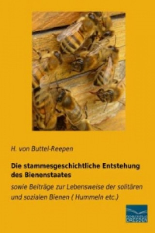 Die stammesgeschichtliche Entstehung des Bienenstaates