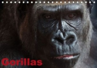 Gorillas / Geburtstagskalender (Tischkalender immerwährend DIN A5 quer)