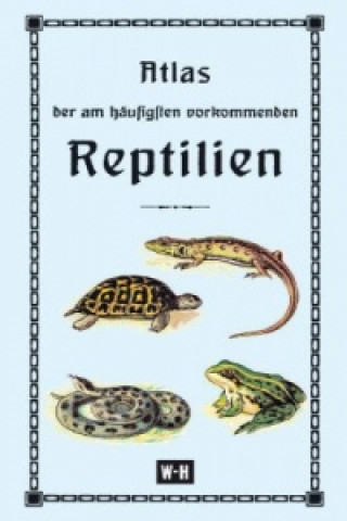 Atlas der am häufigsten vorkommenden Reptilien
