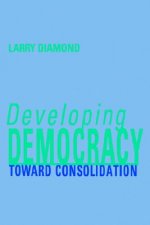 Developing Democracy