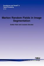 Markov Random Fields in Image Segmentation