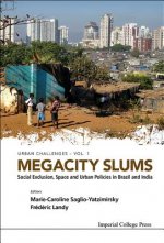Megacity Slums