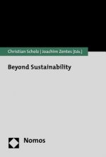 Beyond Sustainability