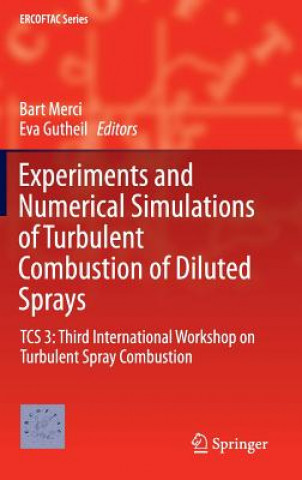Experiments and Numerical Simulations of Turbulent Combustion of Diluted Sprays