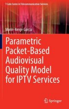 Parametric Packet-based Audiovisual Quality Model for IPTV services