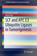 SCF and APC E3 Ubiquitin Ligases in Tumorigenesis, 1