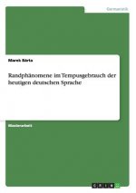 Randphänomene im Tempusgebrauch der heutigen deutschen Sprache
