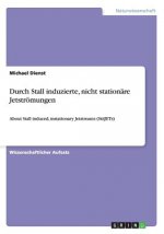 Durch Stall induzierte, nicht stationare Jetstroemungen