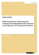 Risikomanagement. Bedeutung und Umgang mit erfolgsgefahrdenden Faktoren zum Zeitpunkt der Projektziele-Definition
