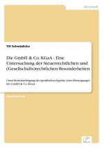 GmbH & Co. KGaA - Eine Untersuchung der Steuerrechtlichen und (Gesellschafts)rechtlichen Besonderheiten