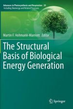 Structural Basis of Biological Energy Generation