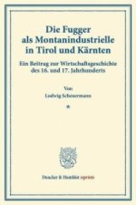 Die Fugger als Montanindustrielle in Tirol und Kärnten.