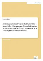 Kapitalgesellschaft versus Betriebsstatte - steuerliche UEberlegungen hinsichtlich einer Investitionsentscheidung einer deutschen Kapitalgesellschaft