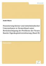 Finanzierung kleiner und mittelstandischer Unternehmen in Deutschland unter Berucksichtigung der Probleme der Neuen Baseler Eigenkapitalvereinbarung (