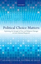 Political Choice Matters
