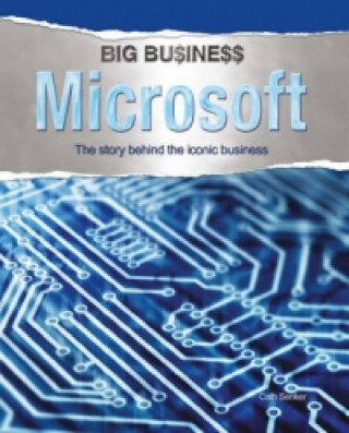 Big Business: Microsoft