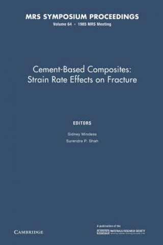 Cement-Based Composites: Volume 64