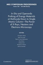 In-Situ and Operando Probing of Energy Materials at Multiscale Down to Single Atomic Column - The Power of X-Rays, Neutrons and Electron Microscopy: V