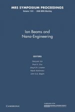 Ion Beams and Nano-Engineering: Volume 1181