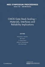 CMOS Gate-Stack Scaling - Materials, Interfaces and Reliability Implications: Volume 1155