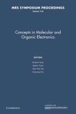 Concepts in Molecular and Organic Electronics: Volume 1154