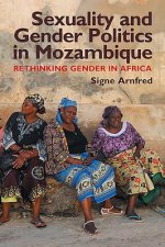 Sexuality and Gender Politics in Mozambique