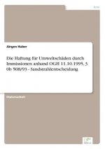 Haftung fur Umweltschaden durch Immissionen anhand OGH 11.10.1995, 3 0b 508/93 - Sandstrahlentscheidung