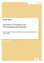 Electronic Government und Verwaltungsmodernisierung