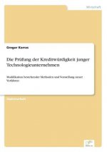 Prufung der Kreditwurdigkeit junger Technologieunternehmen