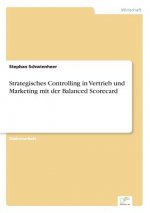Strategisches Controlling in Vertrieb und Marketing mit der Balanced Scorecard