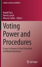 Voting Power and Procedures