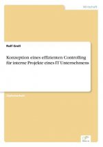 Konzeption eines effizienten Controlling fur interne Projekte eines IT Unternehmens